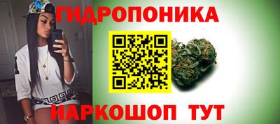 гидропоника Краснознаменск