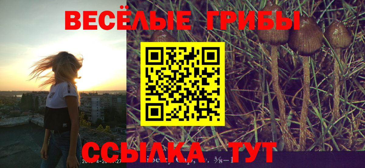 Галлюциногенные грибы мицелий  Вход с VPN  Красный Сулин 